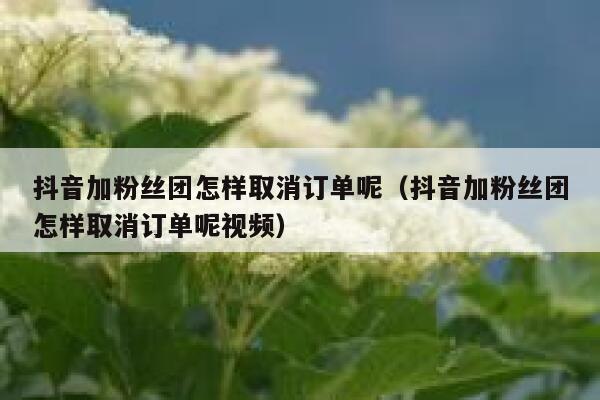抖音加粉丝团怎样取消订单呢(抖音加粉丝团怎样取消订单呢视频) 第1张 抖音加粉丝团怎样取消订单呢(抖音加粉丝团怎样取消订单呢视频) 第1张