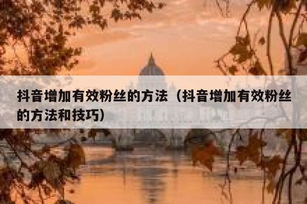 抖音增加有效粉丝的方法（抖音增加有效粉丝的方法和技巧） 第1张