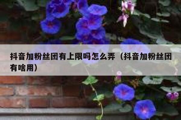 抖音加粉丝团有上限吗怎么弄(抖音加粉丝团有啥用) 第1张 抖音加粉丝团有上限吗怎么弄(抖音加粉丝团有啥用) 第1张