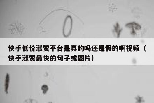 快手低价涨赞平台是真的吗还是假的啊视频（快手涨赞最快的句子或图片） 第1张