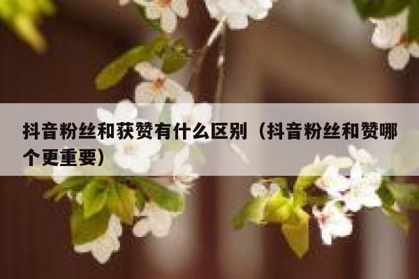 抖音粉丝和获赞有什么区别（抖音粉丝和赞哪个更重要） 第1张