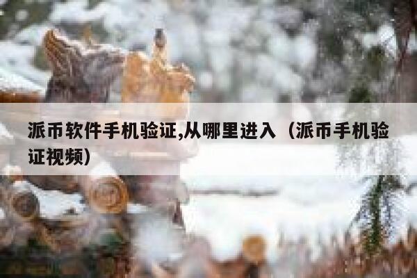派币软件手机验证,从哪里进入（派币手机验证视频） 第1张