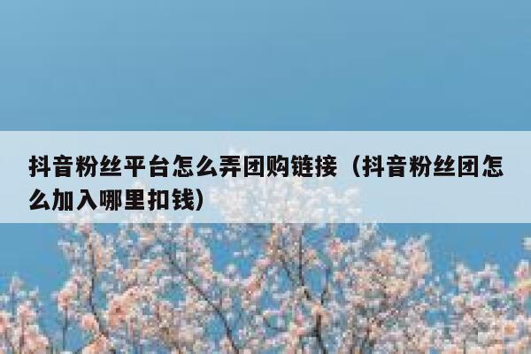 抖音粉丝平台怎么弄团购链接(抖音粉丝团怎么加入哪里扣钱) 第1张 抖音粉丝平台怎么弄团购链接(抖音粉丝团怎么加入哪里扣钱) 第1张
