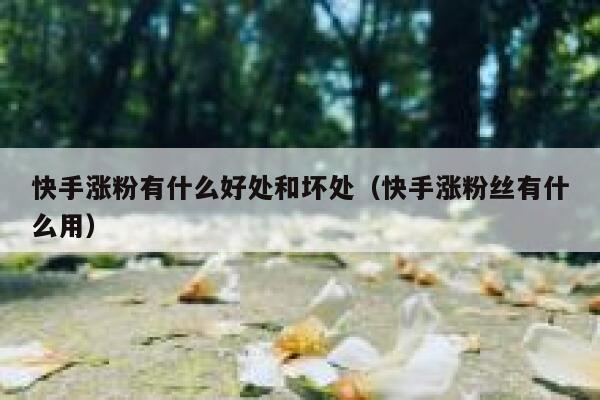 快手涨粉有什么好处和坏处(快手涨粉丝有什么用) 第1张 快手涨粉有什么好处和坏处(快手涨粉丝有什么用) 第1张