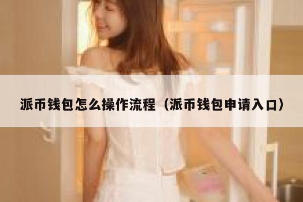 派币钱包怎么操作流程（派币钱包申请入口） 第1张