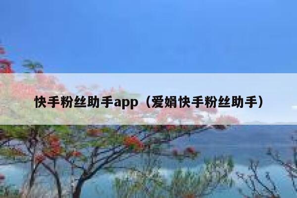 快手粉丝助手app（爱娟快手粉丝助手） 第1张
