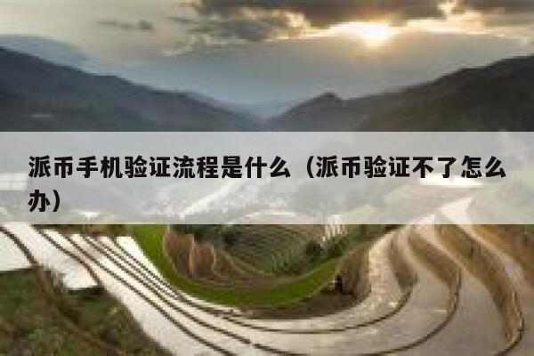 派币手机验证流程是什么（派币验证不了怎么办） 第1张