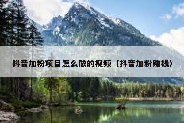 抖音加粉项目怎么做的视频（抖音加粉赚钱） 第1张