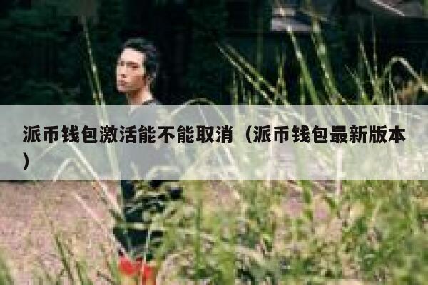 派币钱包激活能不能取消（派币钱包最新版本） 第1张
