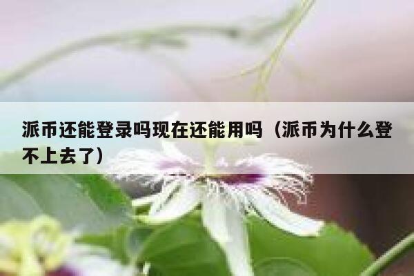 派币还能登录吗现在还能用吗（派币为什么登不上去了） 第1张