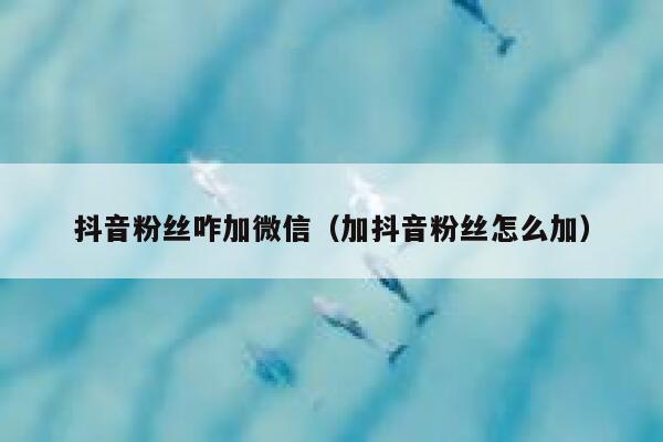 抖音粉丝咋加微信（加抖音粉丝怎么加） 第1张