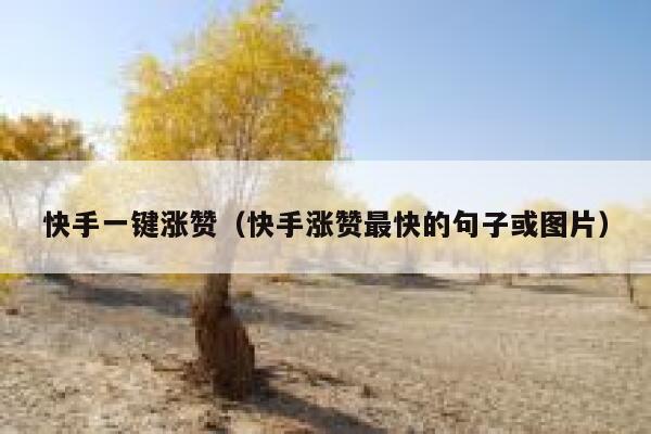 快手一键涨赞（快手涨赞最快的句子或图片） 第1张