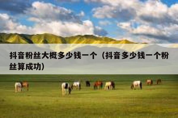 抖音粉丝大概多少钱一个（抖音多少钱一个粉丝算成功） 第1张