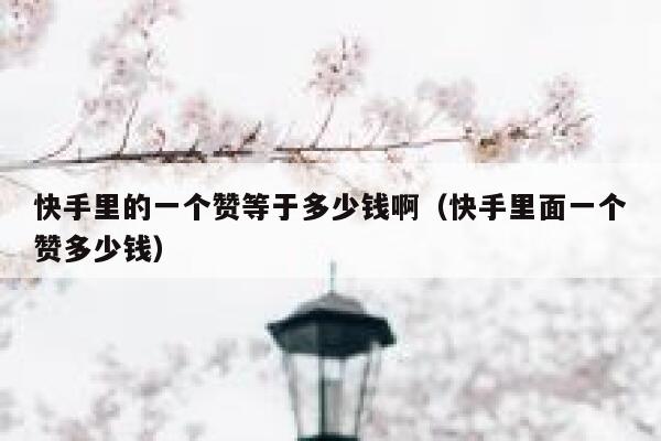 快手里的一个赞等于多少钱啊（快手里面一个赞多少钱） 第1张