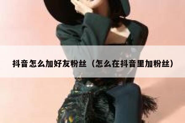 抖音怎么加好友粉丝（怎么在抖音里加粉丝） 第1张