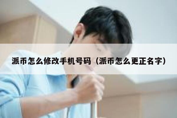派币怎么修改手机号码（派币怎么更正名字） 第1张