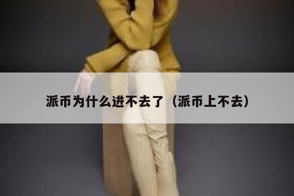 派币为什么进不去了(派币上不去) 第1张 派币为什么进不去了(派币上不去) 第1张