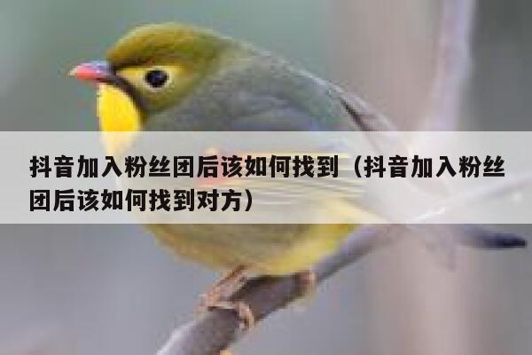 抖音加入粉丝团后该如何找到(抖音加入粉丝团后该如何找到对方) 第1张 抖音加入粉丝团后该如何找到(抖音加入粉丝团后该如何找到对方) 第1张