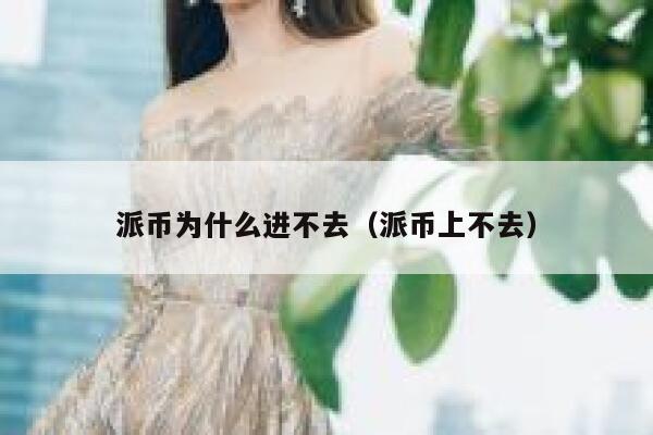 派币为什么进不去(派币上不去) 第1张 派币为什么进不去(派币上不去) 第1张