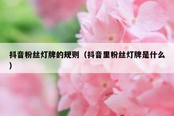 抖音粉丝灯牌的规则（抖音里粉丝灯牌是什么） 第1张