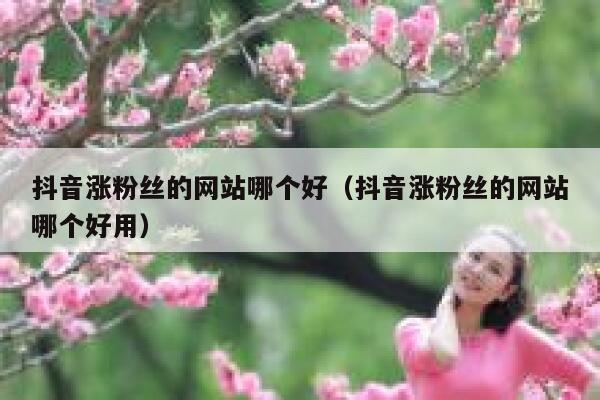 抖音涨粉丝的网站哪个好（抖音涨粉丝的网站哪个好用） 第1张