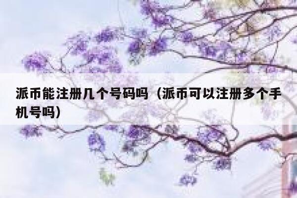 派币能注册几个号码吗（派币可以注册多个手机号吗） 第1张