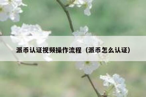 派币认证视频操作流程（派币怎么认证） 第1张