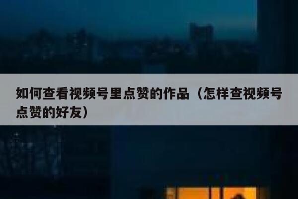 如何查看视频号里点赞的作品（怎样查视频号点赞的好友） 第1张