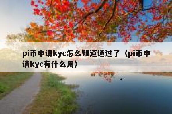 pi币申请kyc怎么知道通过了(pi币申请kyc有什么用) 第1张 pi币申请kyc怎么知道通过了(pi币申请kyc有什么用) 第1张