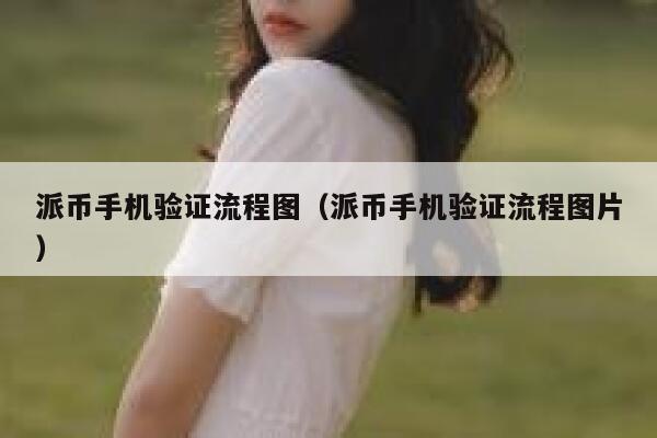 派币手机验证流程图(派币手机验证流程图片) 第1张 派币手机验证流程图(派币手机验证流程图片) 第1张