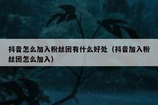 抖音怎么加入粉丝团有什么好处(抖音加入粉丝团怎么加入) 第1张 抖音怎么加入粉丝团有什么好处(抖音加入粉丝团怎么加入) 第1张