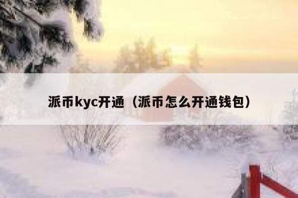 派币kyc开通(派币怎么开通钱包) 第1张 派币kyc开通(派币怎么开通钱包) 第1张