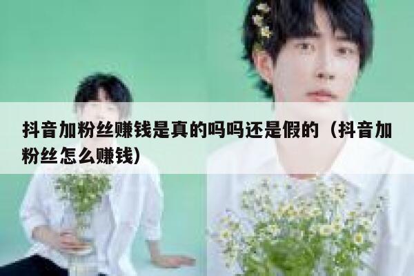 抖音加粉丝赚钱是真的吗吗还是假的(抖音加粉丝怎么赚钱) 第1张 抖音加粉丝赚钱是真的吗吗还是假的(抖音加粉丝怎么赚钱) 第1张