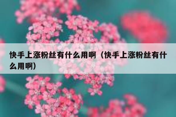 快手上涨粉丝有什么用啊（快手上涨粉丝有什么用啊） 第1张