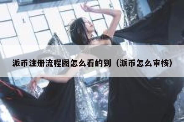 派币注册流程图怎么看的到（派币怎么审核） 第1张