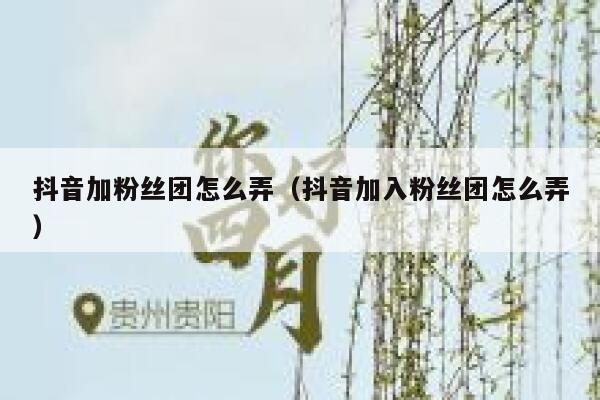 抖音加粉丝团怎么弄（抖音加入粉丝团怎么弄） 第1张