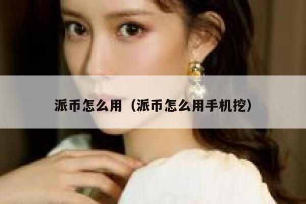 派币怎么用（派币怎么用手机挖） 第1张