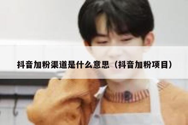 抖音加粉渠道是什么意思（抖音加粉项目） 第1张