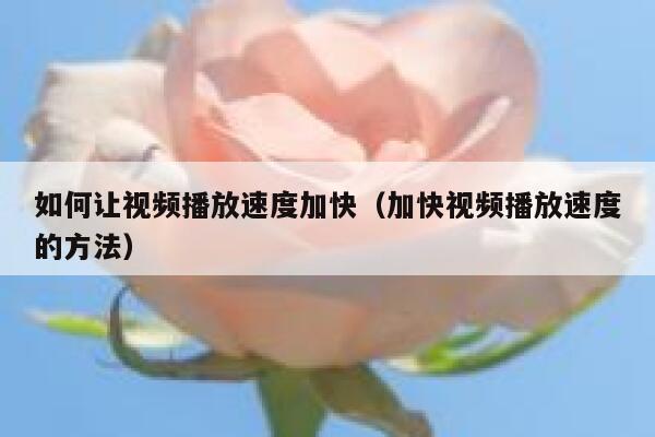 如何让视频播放速度加快(加快视频播放速度的方法) 第1张 如何让视频播放速度加快(加快视频播放速度的方法) 第1张