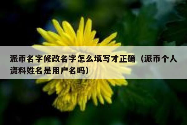 派币名字修改名字怎么填写才正确(派币个人资料姓名是用户名吗) 第1张 派币名字修改名字怎么填写才正确(派币个人资料姓名是用户名吗) 第1张