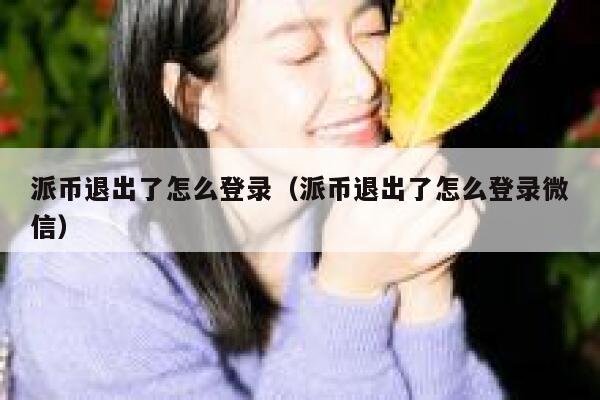 派币退出了怎么登录(派币退出了怎么登录微信) 第1张 派币退出了怎么登录(派币退出了怎么登录微信) 第1张