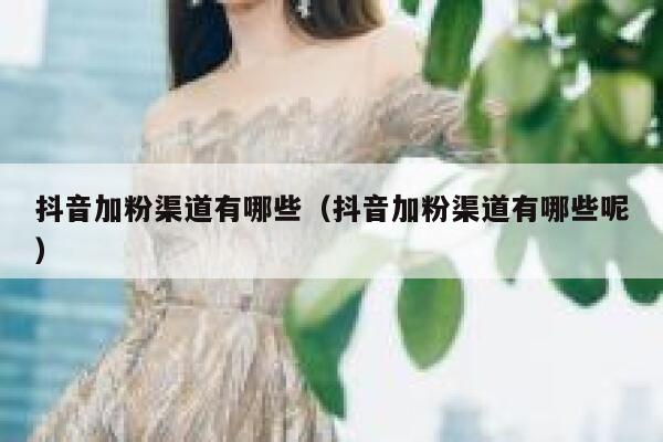 抖音加粉渠道有哪些（抖音加粉渠道有哪些呢） 第1张