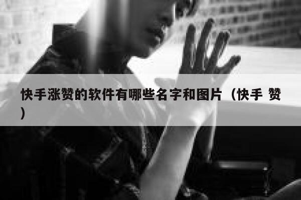 快手涨赞的软件有哪些名字和图片（快手 赞） 第1张