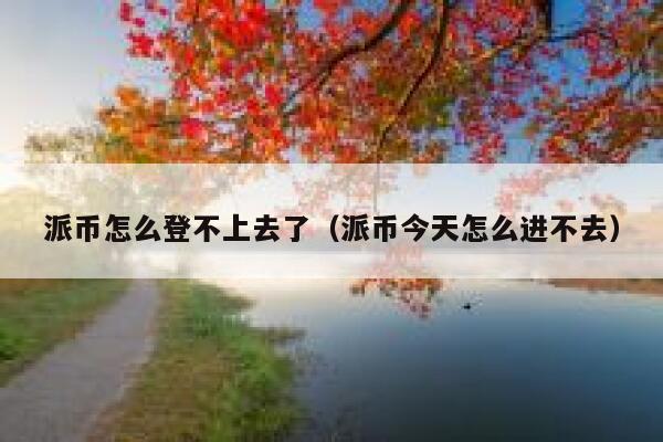 派币怎么登不上去了(派币今天怎么进不去) 第1张 派币怎么登不上去了(派币今天怎么进不去) 第1张