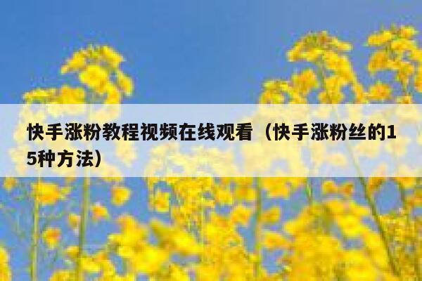 快手涨粉教程视频在线观看（快手涨粉丝的15种方法） 第1张