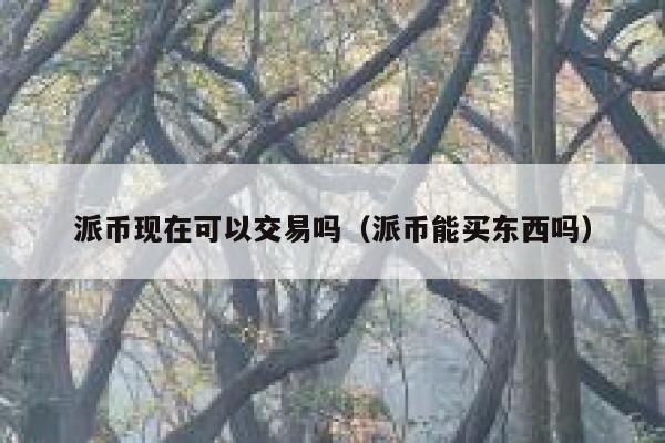 派币现在可以交易吗(派币能买东西吗) 第1张 派币现在可以交易吗(派币能买东西吗) 第1张