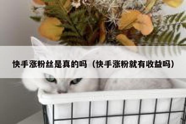 快手涨粉丝是真的吗（快手涨粉就有收益吗） 第1张