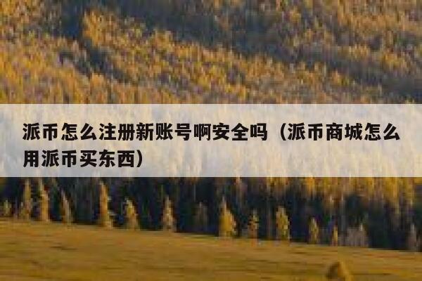 派币怎么注册新账号啊安全吗（派币商城怎么用派币买东西） 第1张