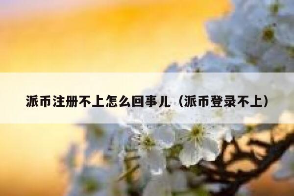 派币注册不上怎么回事儿(派币登录不上) 第1张 派币注册不上怎么回事儿(派币登录不上) 第1张