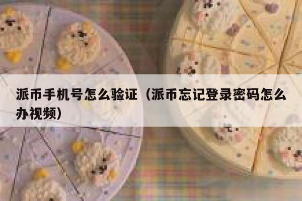派币手机号怎么验证（派币忘记登录密码怎么办视频） 第1张